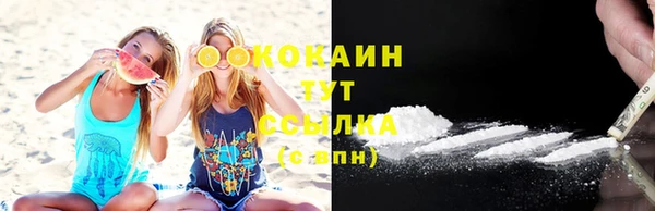 соль ск Алексин