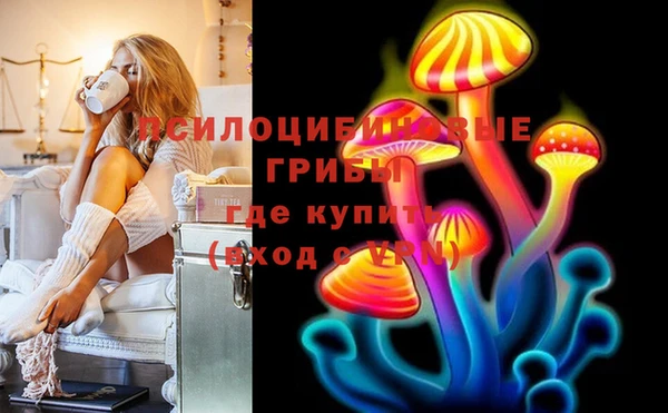 тгк Алзамай
