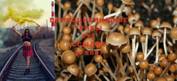 гидра Алексеевка