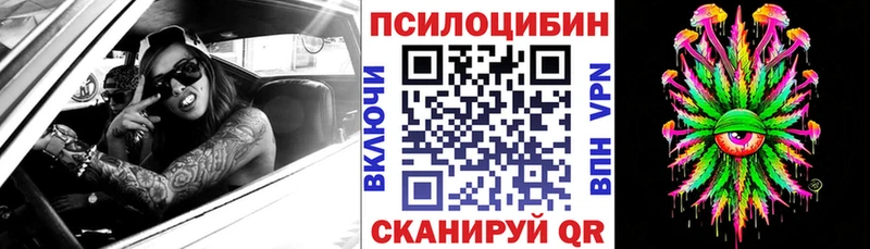 Псилоцибиновые грибы Psilocybe купить наркотики цена Усолье-Сибирское