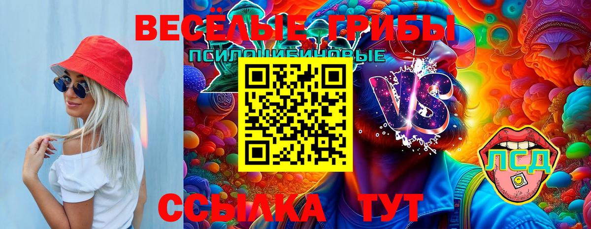 Галлюциногенные грибы Psilocybine cubensis  Вход с VPN  Усолье-Сибирское 