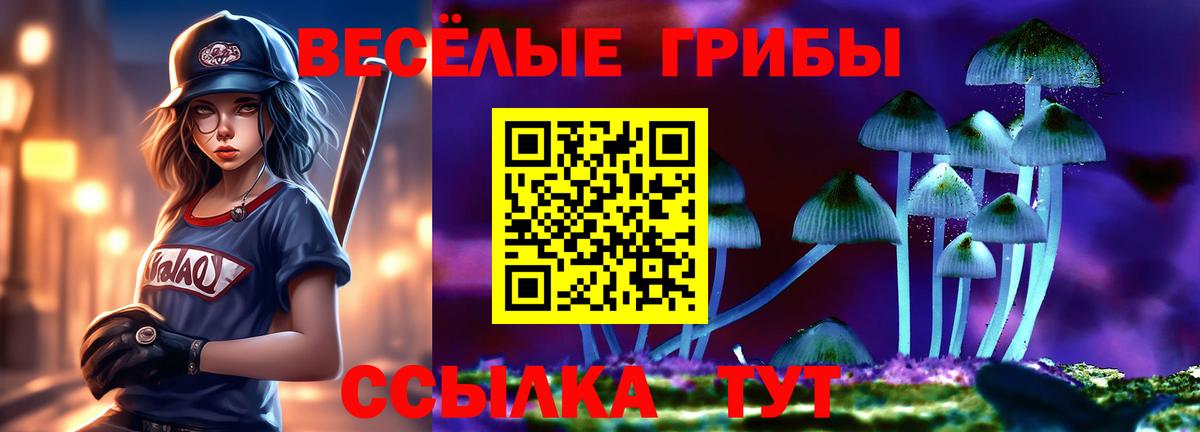 Галлюциногенные грибы ЛСД Усолье-Сибирское
